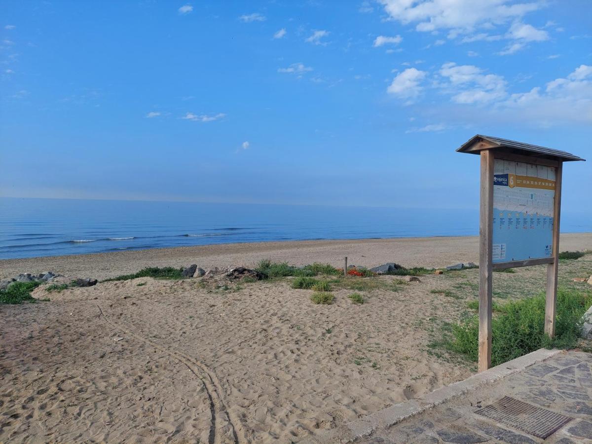 Casamare Daire Torvaianica Dış mekan fotoğraf